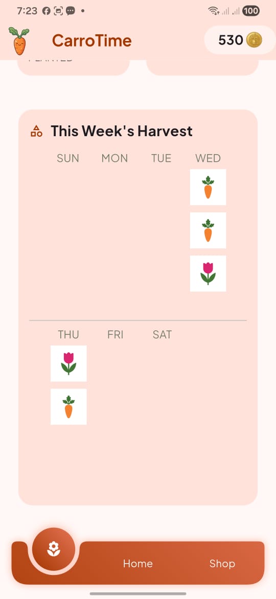 CarroTime 1